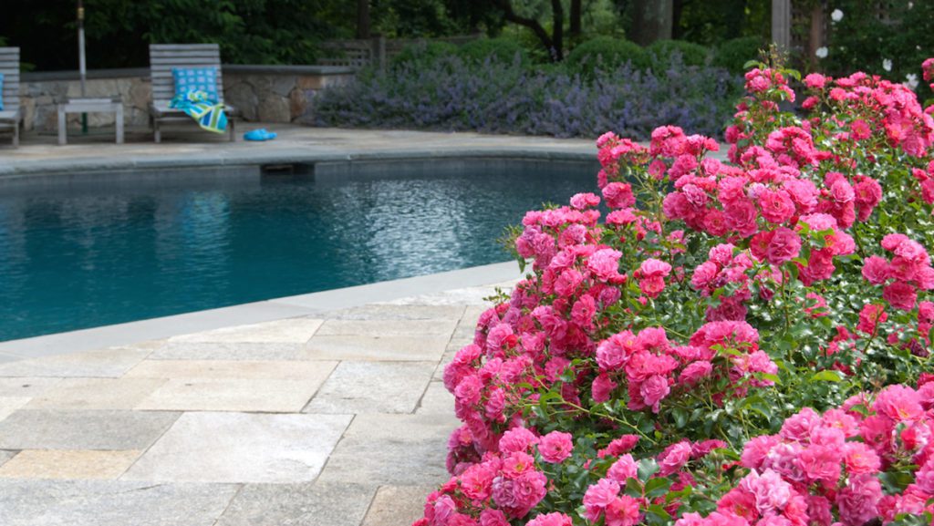 Pool Opening Tips for Spring