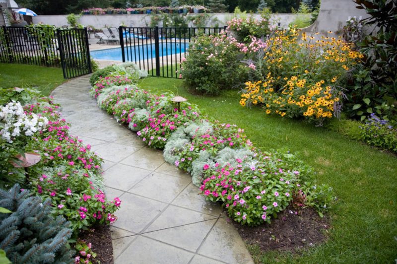 Backyard Landscaping for Beginners