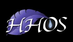 Hollywood Hills Outdoor Solutions Logo
