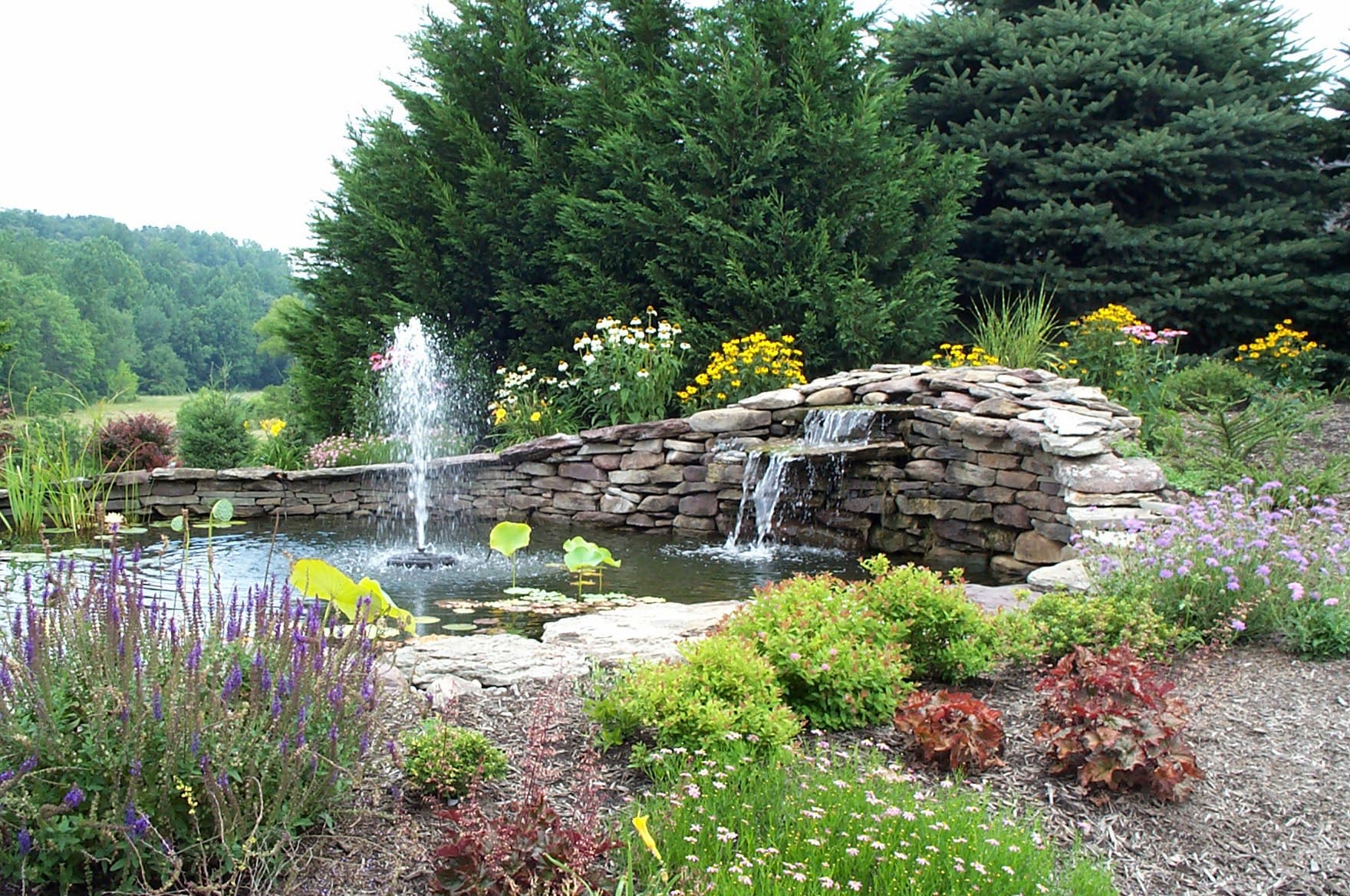 305396140_564487822087421_8023954373831068881_n-1