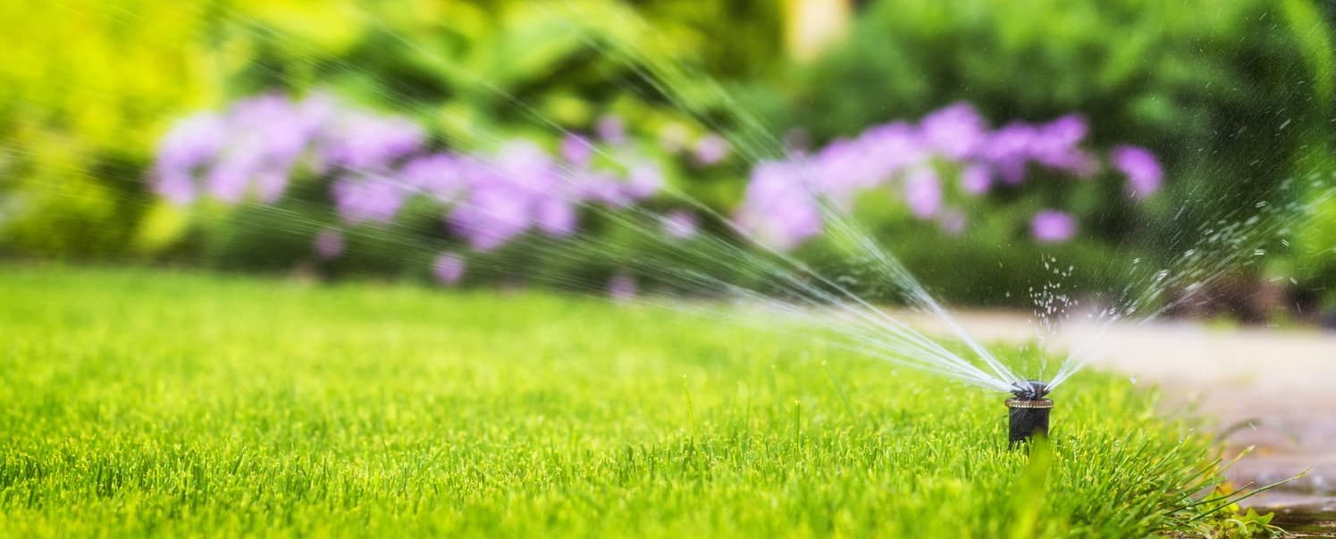 lawn-watering-1-e1670429798246